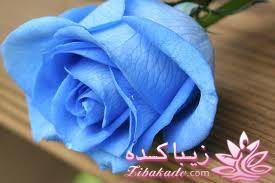 24تیر *تولد بهزاد*